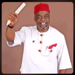 Emeka Wogu, CON, NPOM ,Ph. DChairman, South East Development Commission 
